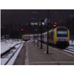 PB251788.JPG